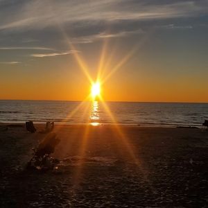 Meet your Posher, Wally